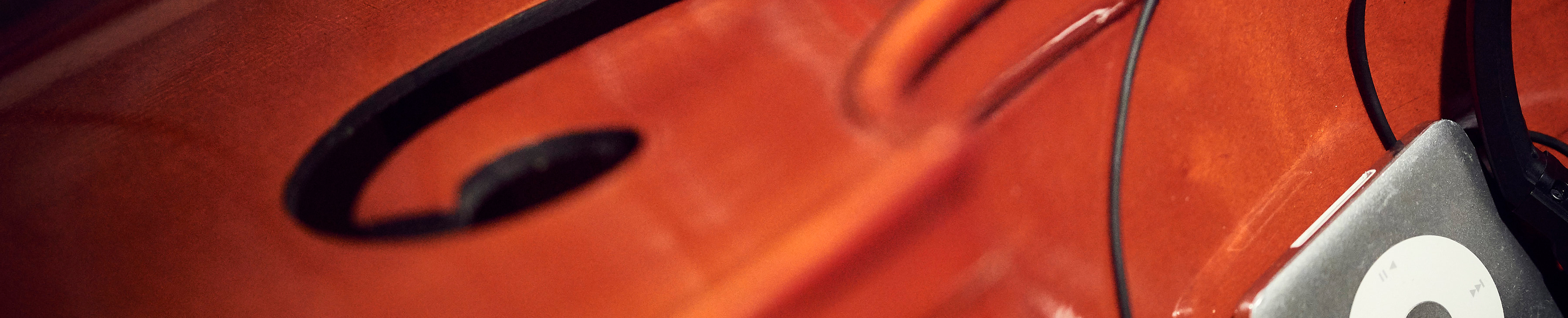 violin detail